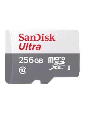 Memory Card, microSD, 256GB, 100MB/s, Grey / White