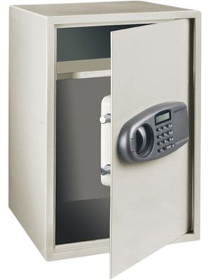 Electronic document safe