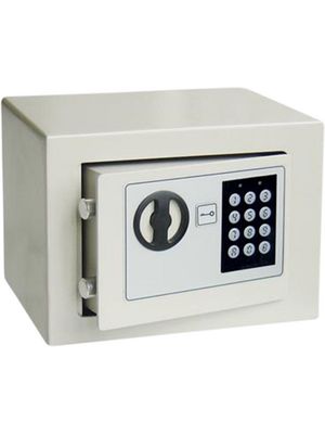 Electronic safe