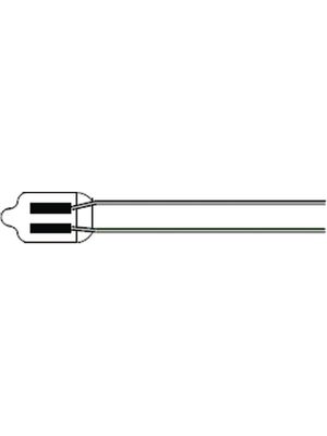 Neon Bulb 65 VAC