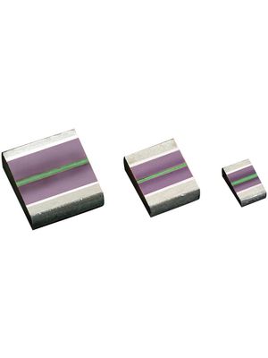 Polymer Capacitor